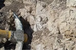 بزرگترین طرح تولید طلای کشور فردا افتتاح می‌شود