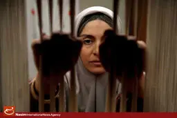 مریلا زارعی: اگر 
