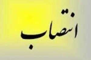 مشاور وزیر تعاون، کار و رفاه اجتماعی در امور بانوان و خانواده تعیین شد