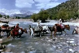 مدیر امور عشایر کرمانشاه: مشکلات کوچ عشایر این استان به خوزستان حل شده است