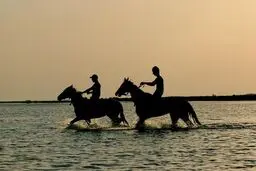 زندگی پُرفراز و نشیب مربی اسب ترکمن در سینماحقیقت روایت می‌شود