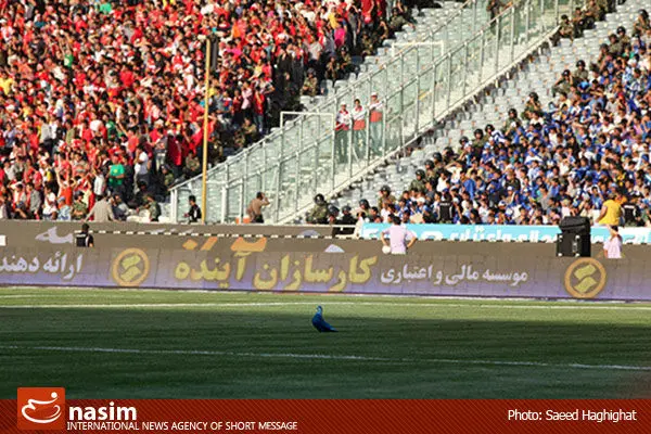 یک فوق تخصص قلب و عروق: برگزاری دربی استقلال و پرسپولیس در شرایط هوای ناسالم صحیح نیست