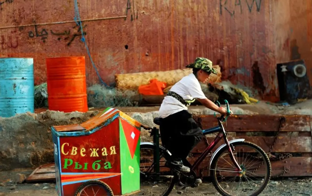 "هفته فیلم مقاومت" در دانشگاه‌های استانبول ترکیه برگزار می‌شود