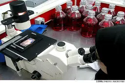 رئیس انجمن پاتولوژی ایران: به دلیل نبود پوشش بیمه‌ای، مردم از انجام آزمایشات اجتناب می‌کنند