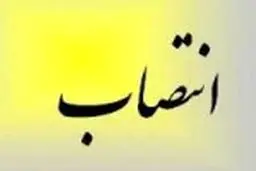 نجفی یک مدیر دیگر را در وزارت علوم تغییر داد