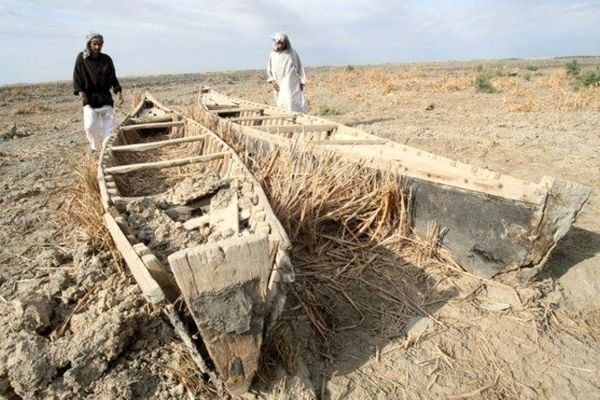 مدیر ملی طرح حفاظت از تالاب‌های ایران: باید به سرعت برای احیای تالاب هامون چاره‌اندیشی شود