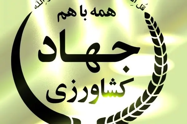"بیش از ۲۸۰۰ تن نهاده دامی سبوس گندم بین دامداران اردبیل توزیع شده است"