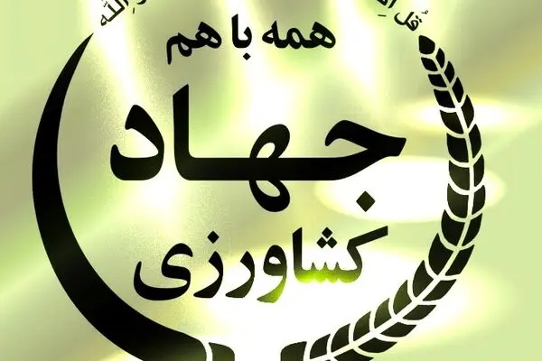 "بیش از ۲۸۰۰ تن نهاده دامی سبوس گندم بین دامداران اردبیل توزیع شده است"