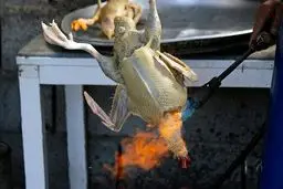 مسئولان برخورد قاطع با نسل‌کشی پرندگان مهاجر در فریدونکنار داشته باشند