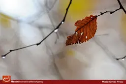 سامانه جدید بارشی فردا از غرب وارد کشور می‌شود