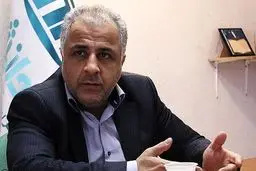 میرمحمدی: نفت و دلار مناسب در بودجه ۹۴ چه عددی است؟