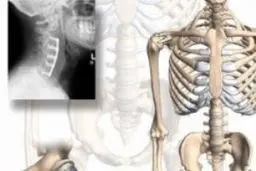 بیست و سومین همایش سالیانه ارتوپدی علوم پزشکی تهران فردا آغاز می‌‌شود