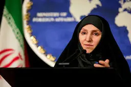 افخم: در دوره تمدید، بر مبنای توافق ژنو عمل خواهد شد