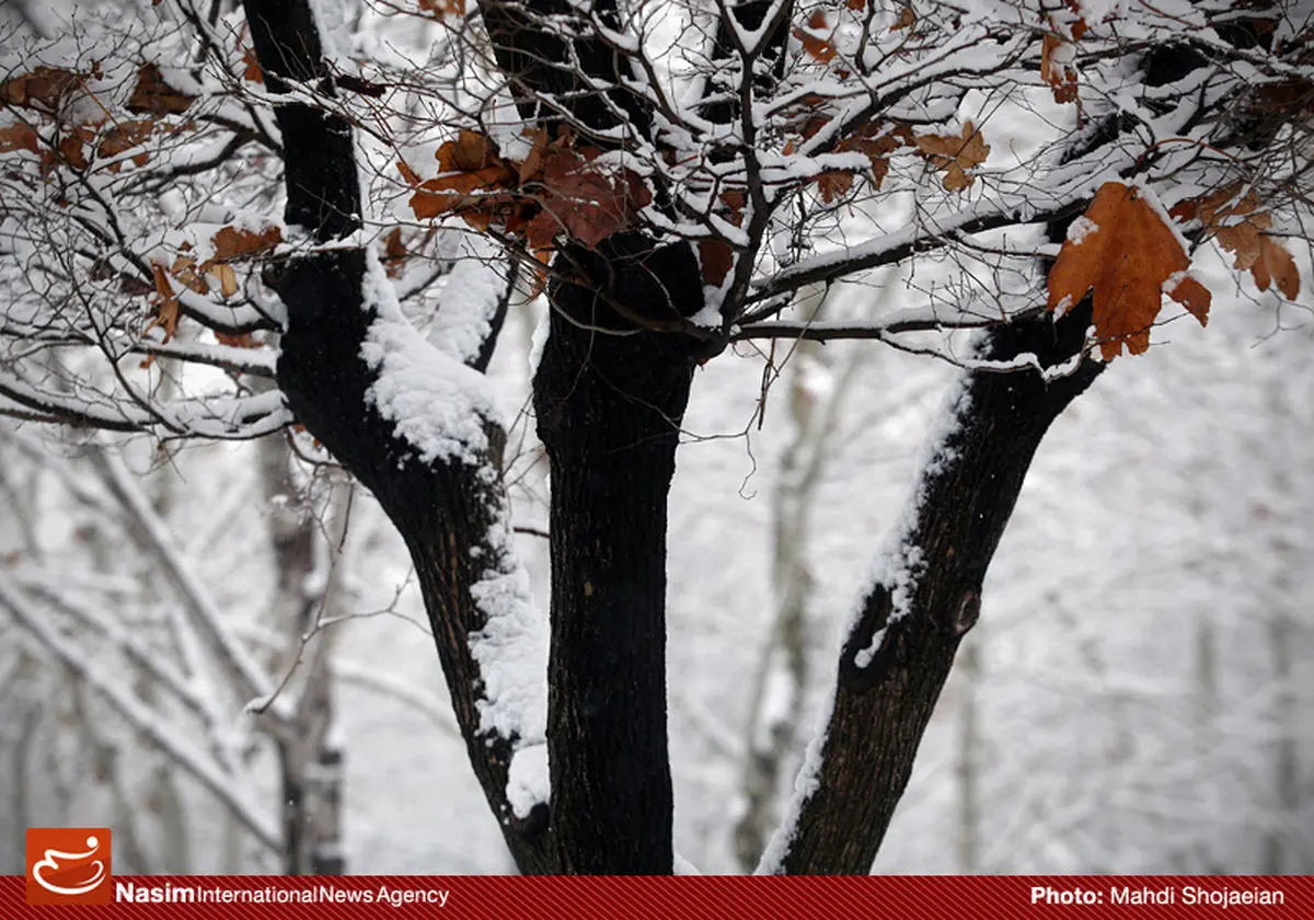 دمای پایتخت پنجشنبه زیر صفر می‌رود