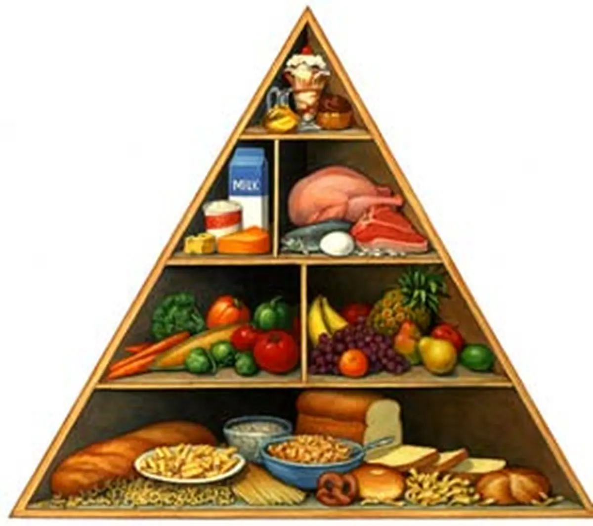 "هرم غذایی مردم ایران" رونمایی شد