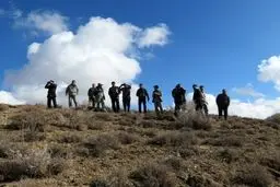 بیش از دو هزار راس قوچ، میش، کل و بز در فیروزکوه سرشماری پاییزه شدند