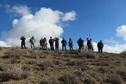 بیش از دو هزار راس قوچ، میش، کل و بز در فیروزکوه سرشماری پاییزه شدند