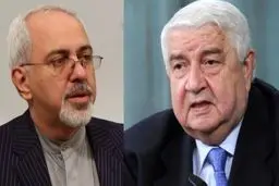 ظریف: خطر گروه‌های افراطی بیش از همه متوجه کسانی است که به آنها کمک کرده‌اند