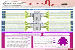 گرافیک اطلاع رسان:: خود مراقبتی