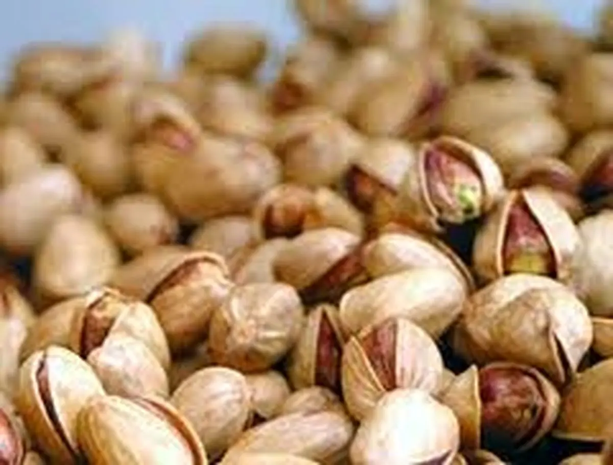 صادرات پسته در سال جاری رشد ۶۷.۱۳ درصدی پیدا کرد