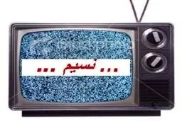 شبکه تلویزیونی 