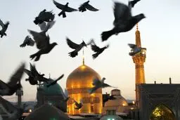 مشهد در اربعین حسینی میزبان صدها هزار زائر از سراسر کشور شده است