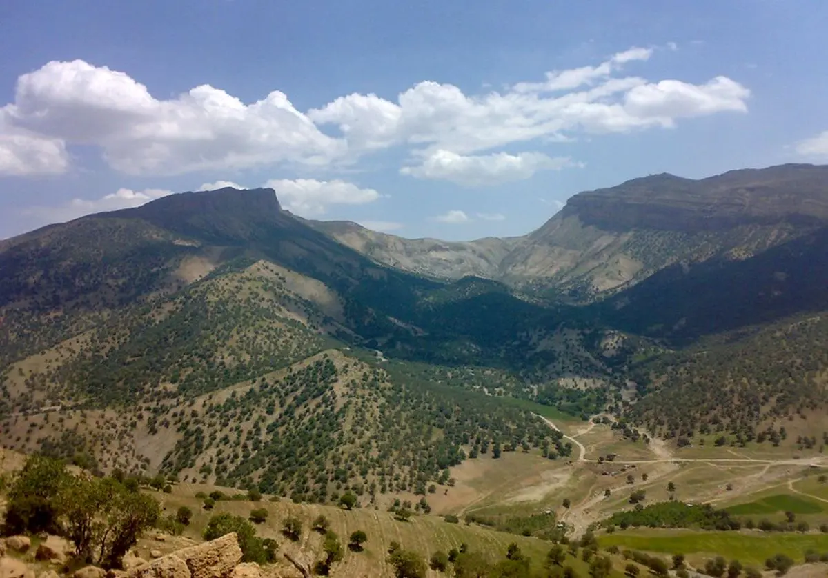 طرح ملی جنگل‌یاری مشارکتی، پنجم دی‌ماه در فارس آغاز می‌شود