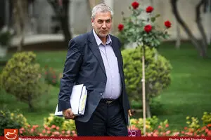 ربیعی: موسسات مالی در قالب تعاونی‌های سهامی عام تشکیل ‌می‌شوند