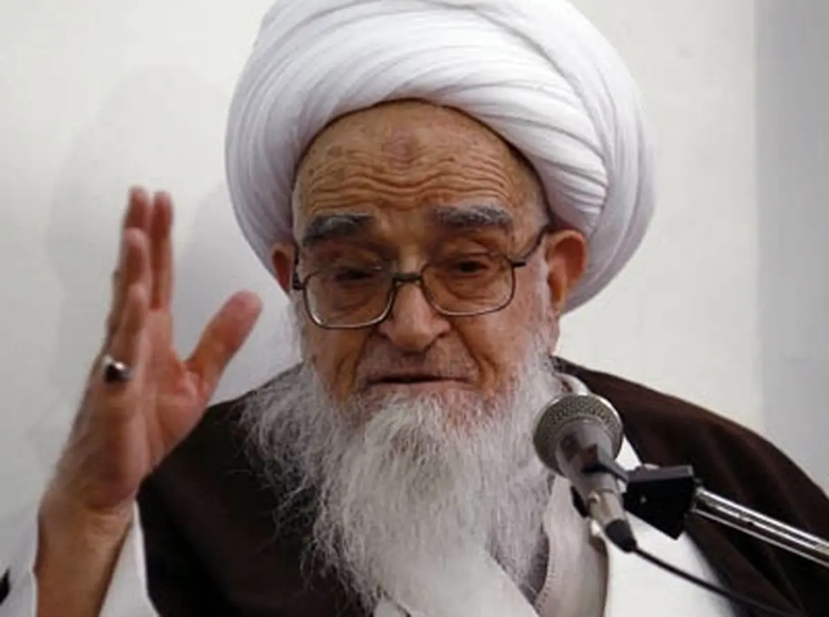 آیت‌الله صافی گلپایگانی: کنترل جمعیت بر خلاف دستورات اسلام است