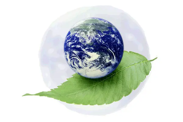 تجهیزات حوزه توسعه زیست فناوری حمایت مالی می‌‌شوند