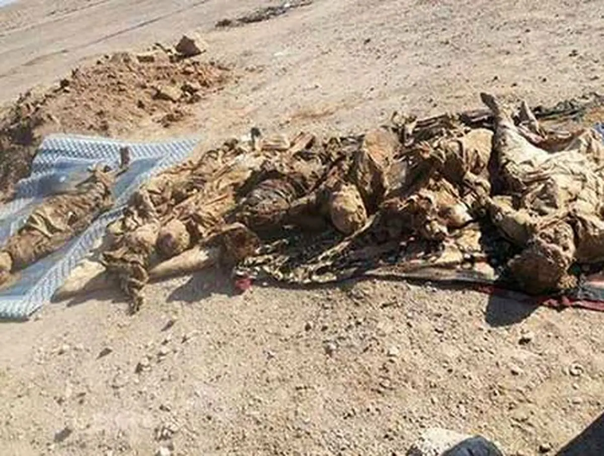 یک گور دسته‌جمعی از اجساد ۷۵ غیرنظامی سوریه کشف شد