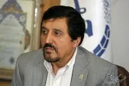 رئیس مرکز درمان ناباروری ابن‌سینا: امواج موبایل و پارازیت بر توان باروری افراد موثر است