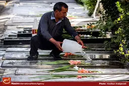 سرپرست ساماندهی گلزارهای شهدا، پاسخگوی سؤالات ایثارگران خواهد بود