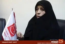 معاون حقوقی رئیس‌جمهور: آبروی افراد حریم خصوصی محسوب می‌شود