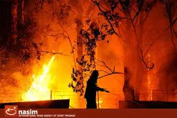 پلیس استرالیا در پی گسترش آتش‌سوزی در جنوب این کشور حالت فوق‌العاده اعلام کرد