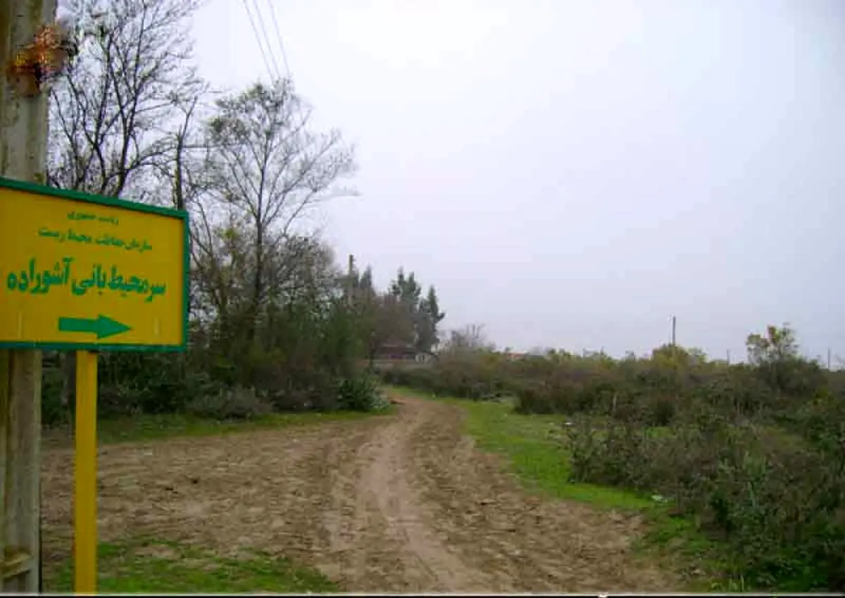 "واگذاری جزیره آشوراده به بخش خصوصی خلاف مصالح ملی است"