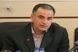 طایی: زنان ۱۲ درصد در بازار کار مشارکت دارند