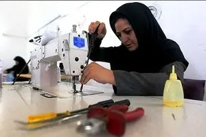 مدیرعامل تعاون زنان: بازار بزرگترین دغدغه زنان برای فروش محصولات است