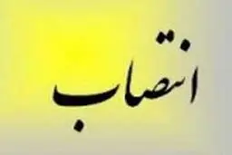 سرپرست مرکز ملی هوا و تغییر اقلیم سازمان محیط زیست منصوب شد