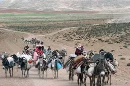 مدیرکل امور عشایر فارس: باید اعتباری مجزا برای ساخت راه‌های عشایری لحاظ شود