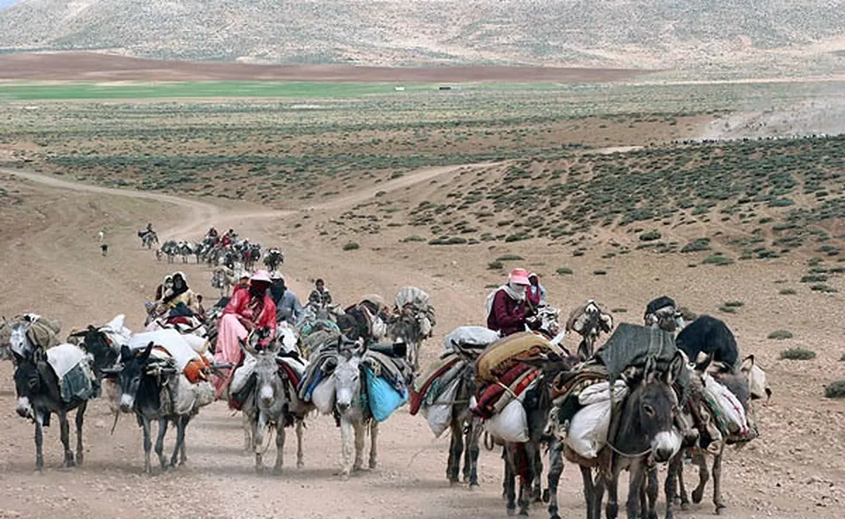 مدیرکل امور عشایر فارس: باید اعتباری مجزا برای ساخت راه‌های عشایری لحاظ شود