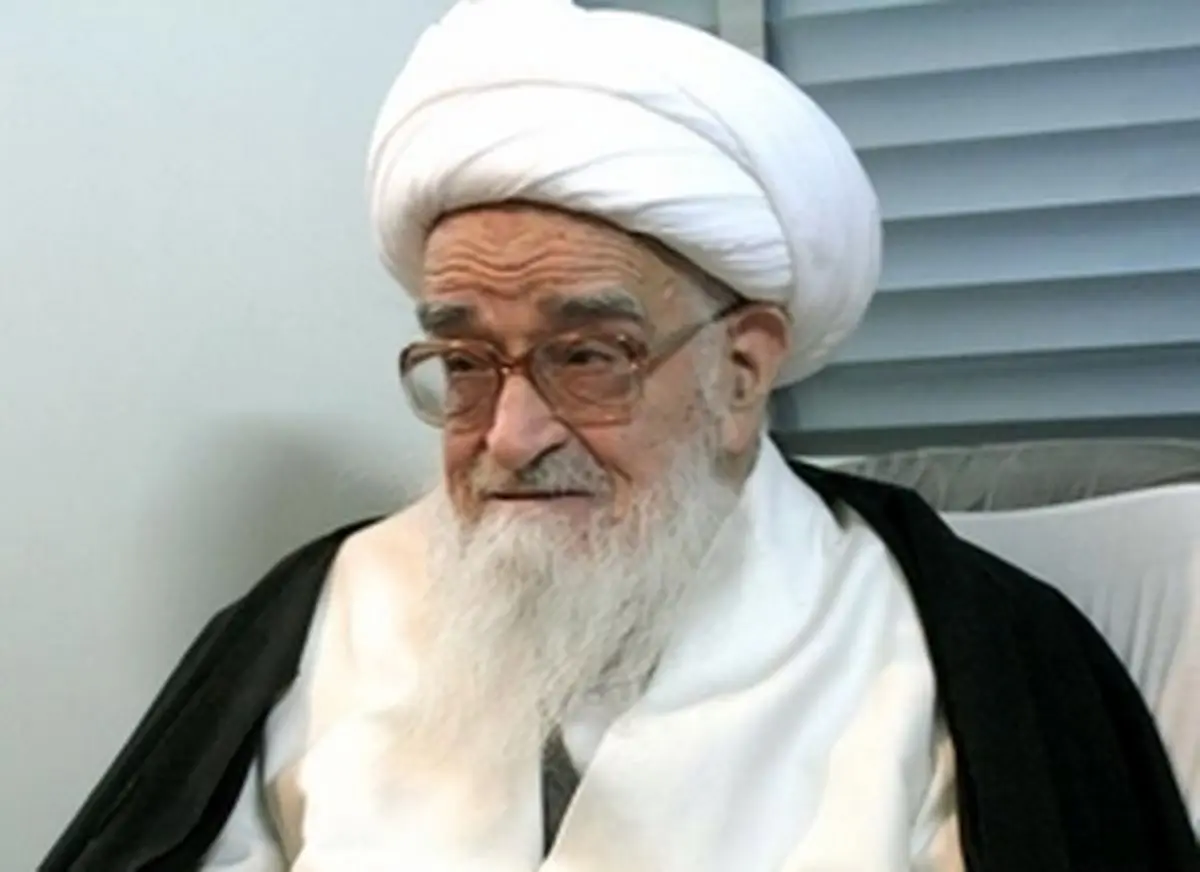 آیت‌الله صافی گلپایگانی: از نقش وحدت آفرین سید عمار حکیم در عراق تشکر می‌کنم