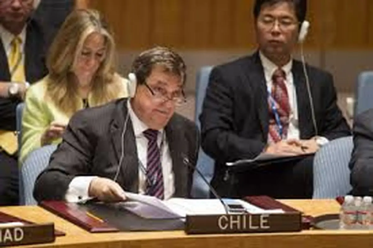 رئیس شورای امنیت سازمان ملل از احتمال رای‌گیری مجدد قطعنامه فلسطین خبر داد