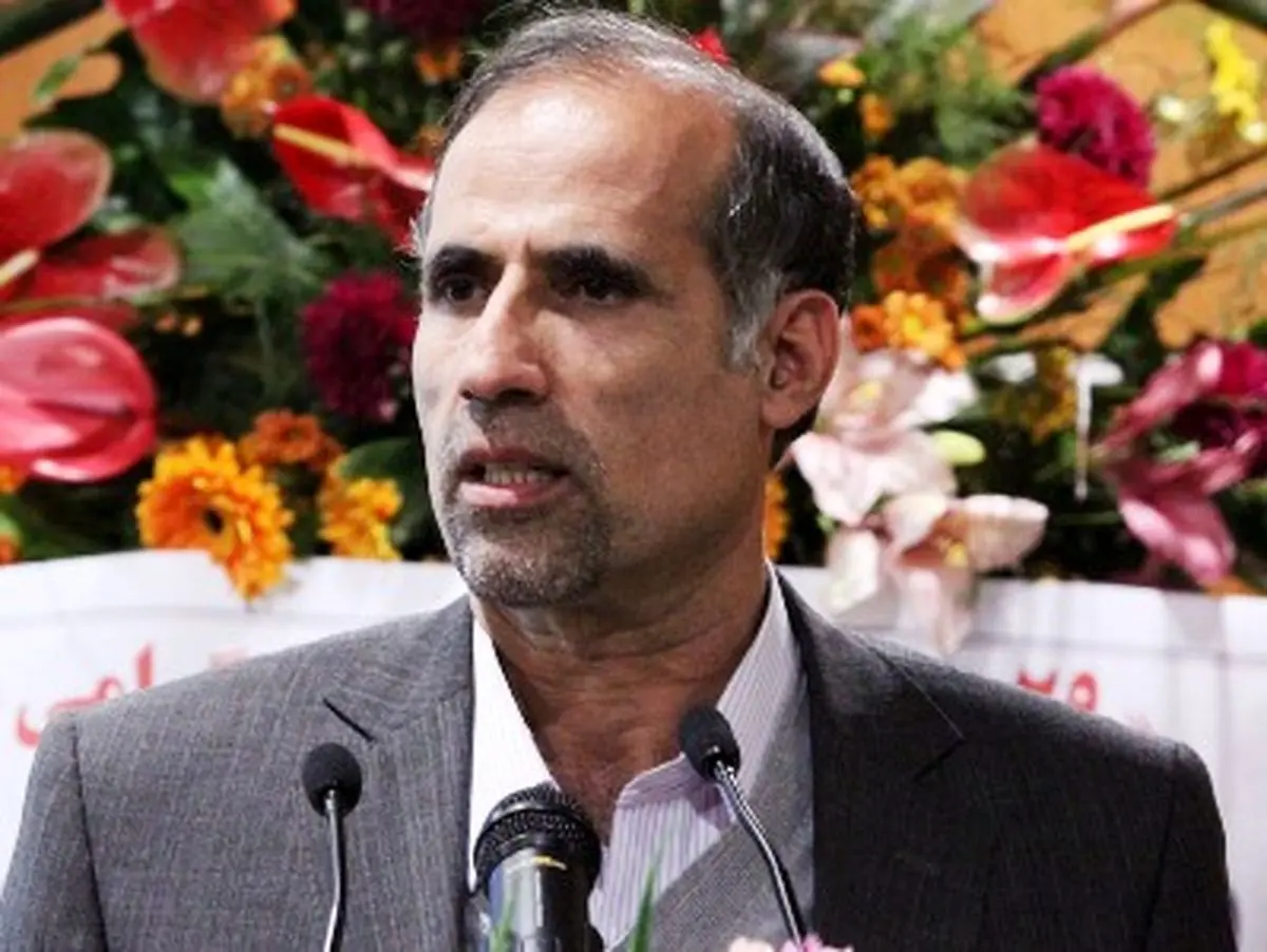 افخمی‌راد: توسعه گردشگری راهکار مهمی برای رسیدن به ایران ۱۴۰۴ است