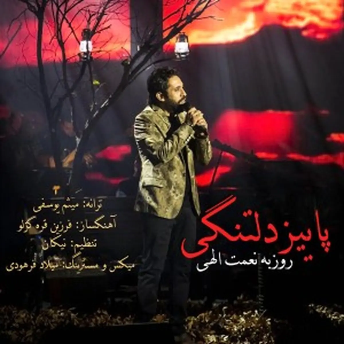 روزبه نعمت‌الهی برای حمایت از بیماران مبتلا به سرطان روی صحنه می‌رود