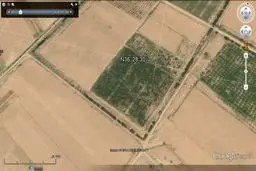 بیش از شش هزار اصله درخت ۴۵ ساله در شاهرود قطع شد