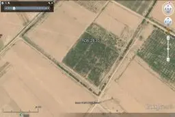 بیش از شش هزار اصله درخت ۴۵ ساله در شاهرود قطع شد