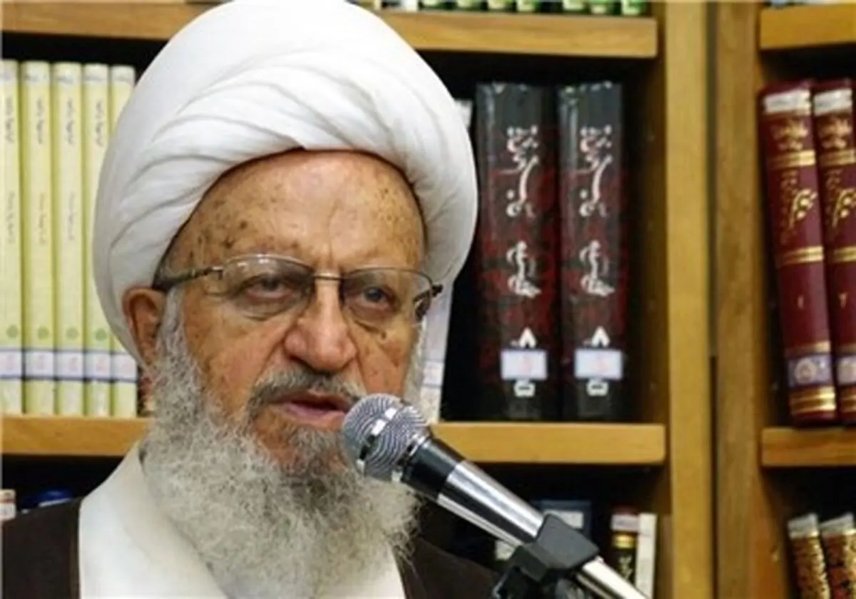 آیت‌الله مکارم شیرازی: عرصه کتاب نویسی نیازمند آموزش‌های حوزوی است