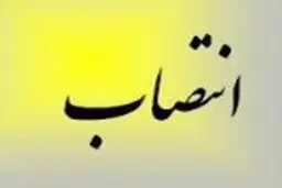 نصرالله آبادیان سرپرست شهرداری منطقه ۱۱ تهران شد