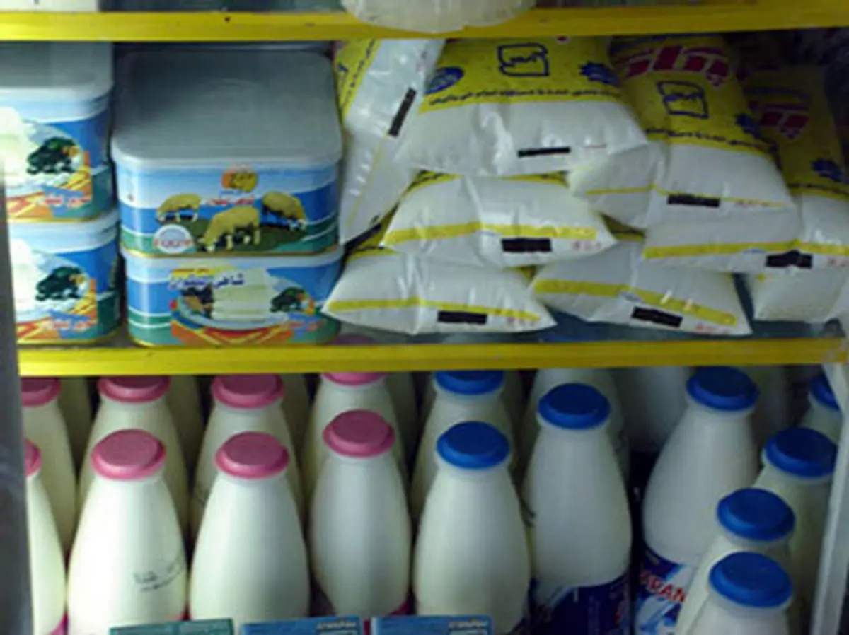 رکنی: ۲۱ میلیارد تومان از یارانه شیر بهار امسال به دامداران پرداخت می‌شود